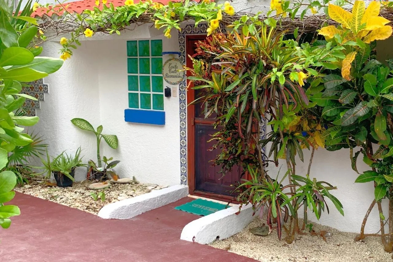 Beautiful & Cozy Studio In Akumal Paradise-Wifi, Ac Apartment