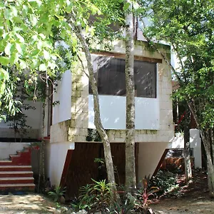 Casa Del Arbol At Duendes Akumal