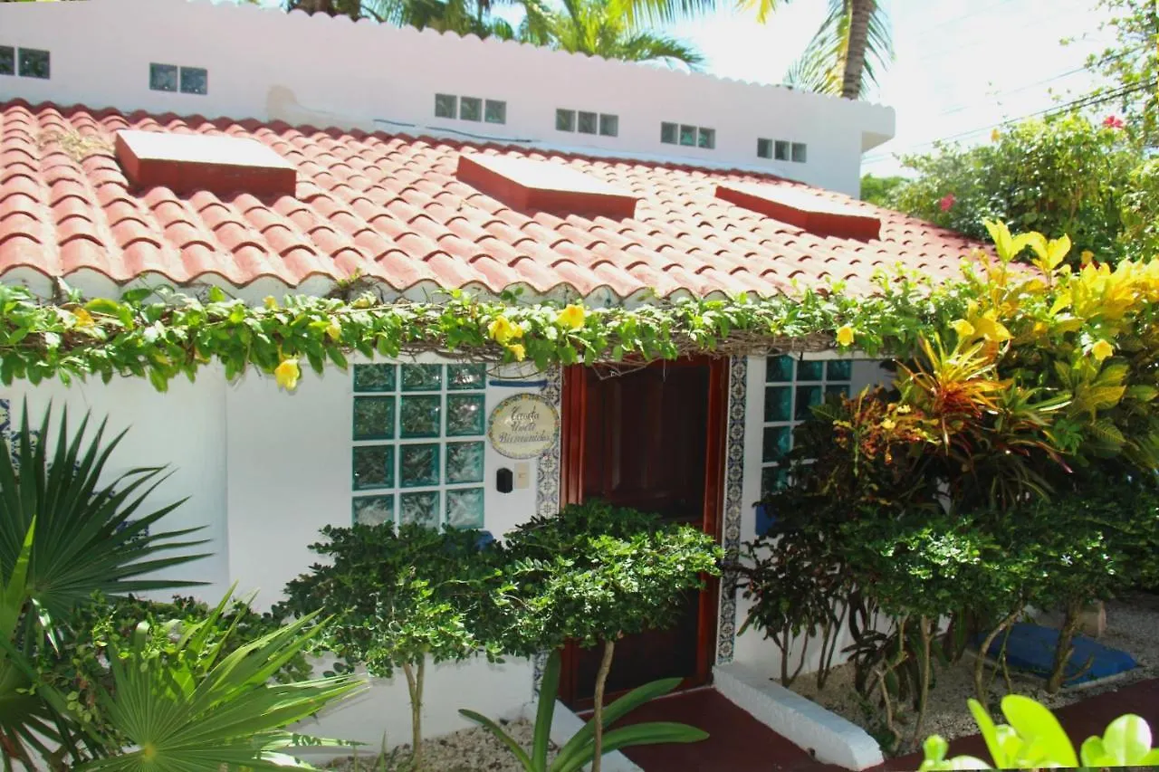 Beautiful & Cozy Studio In Akumal Paradise-Wifi, Ac شقة