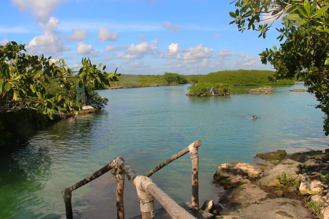 Beautiful & Cozy Studio In Akumal Paradise-Wifi, Ac شقة