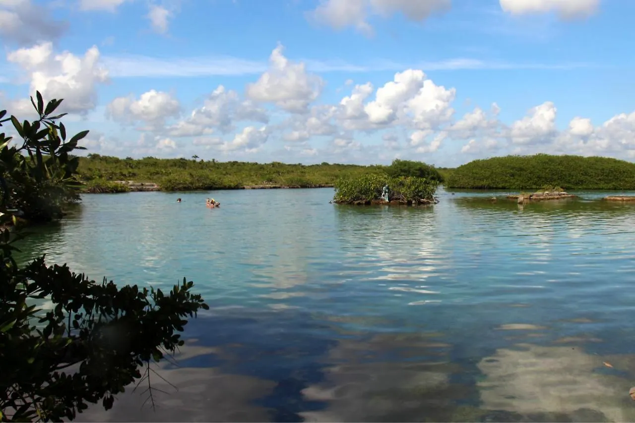 Beautiful & Cozy Studio In Akumal Paradise-Wifi, Ac