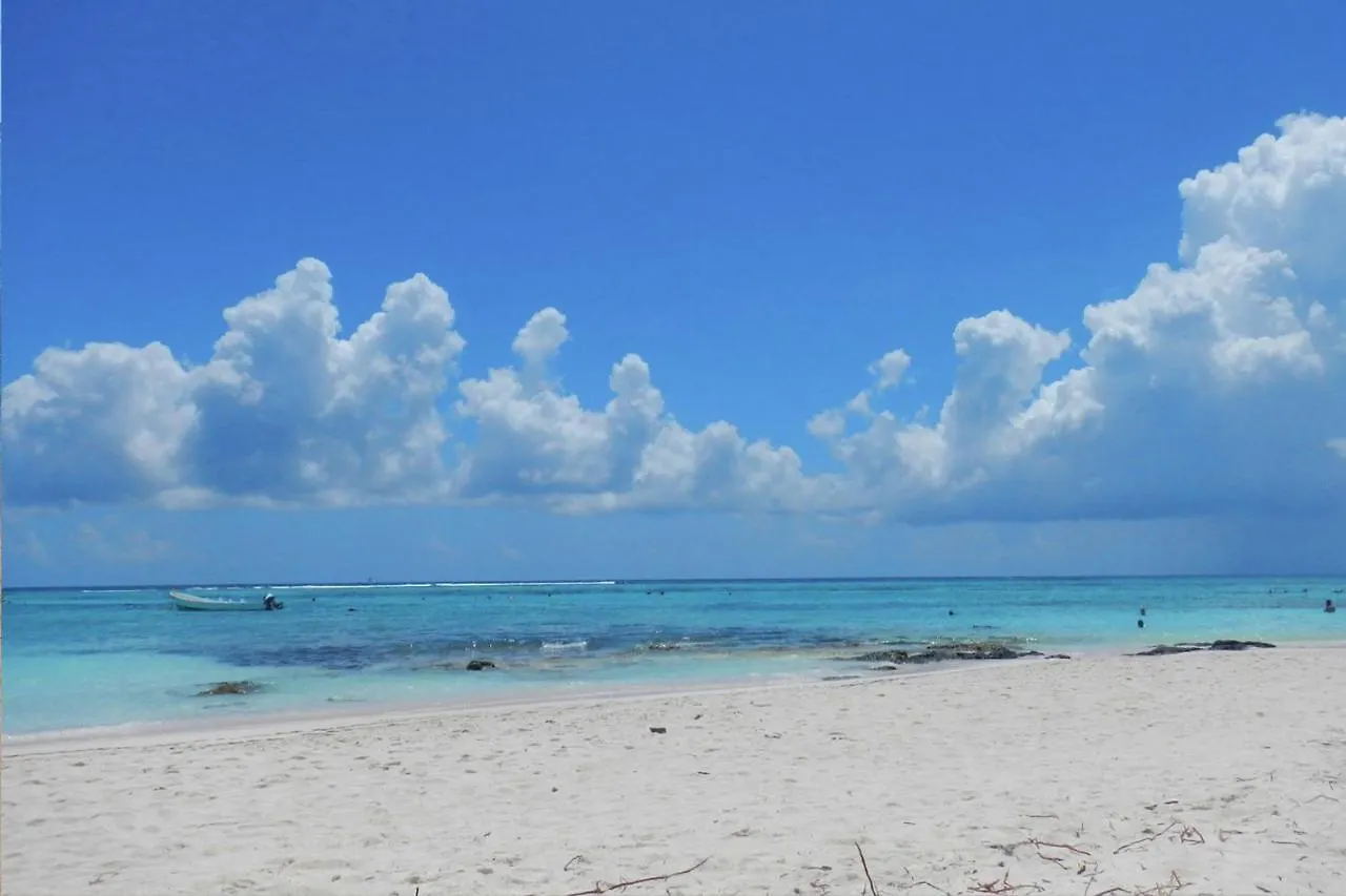 Beautiful & Cozy Studio In Akumal Paradise-Wifi, Ac 0*,