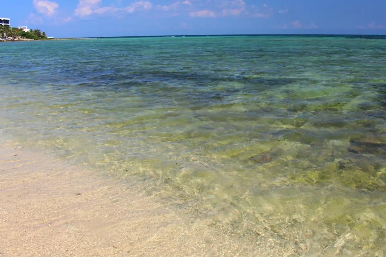 Beautiful & Cozy Studio In Akumal Paradise-Wifi, Ac 0*,  المكسيك