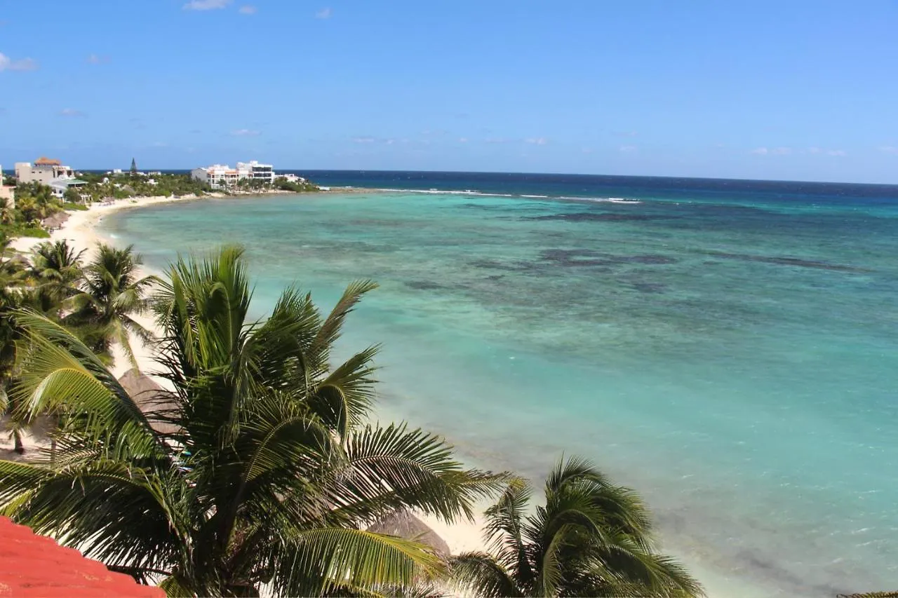 Beautiful & Cozy Studio In Akumal Paradise-Wifi, Ac شقة