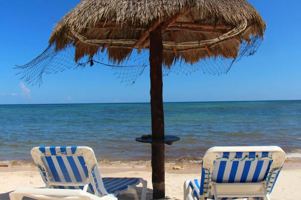 شقة Beautiful & Cozy Studio In Akumal Paradise-Wifi, Ac