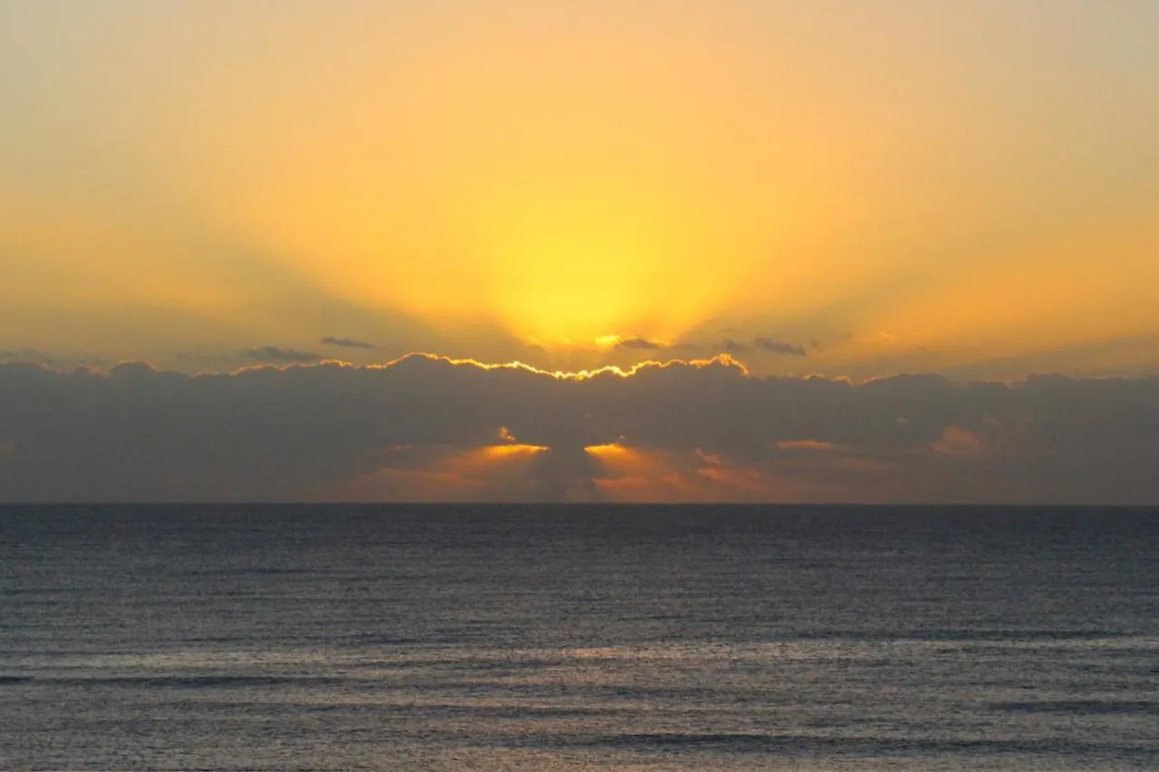 Beautiful & Cozy Studio In Akumal Paradise-Wifi, Ac شقة